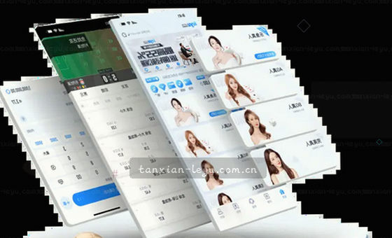 数据驱动决策 洞察未来趋势